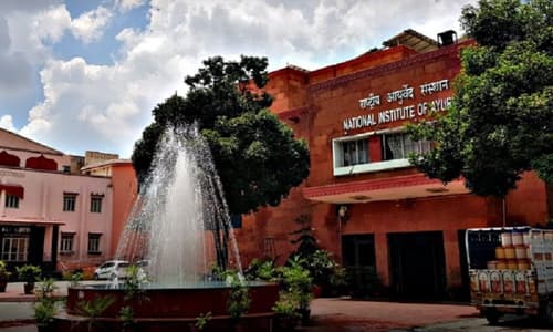 National Institute of Ayurveda